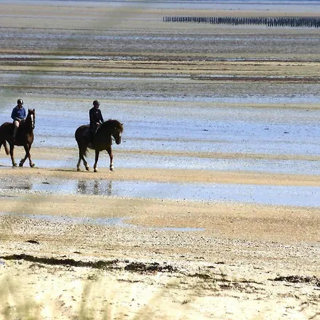 In Normandy Near D-day Beaches *
