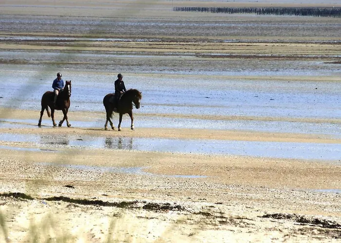 In Normandy Near D-day Beaches *